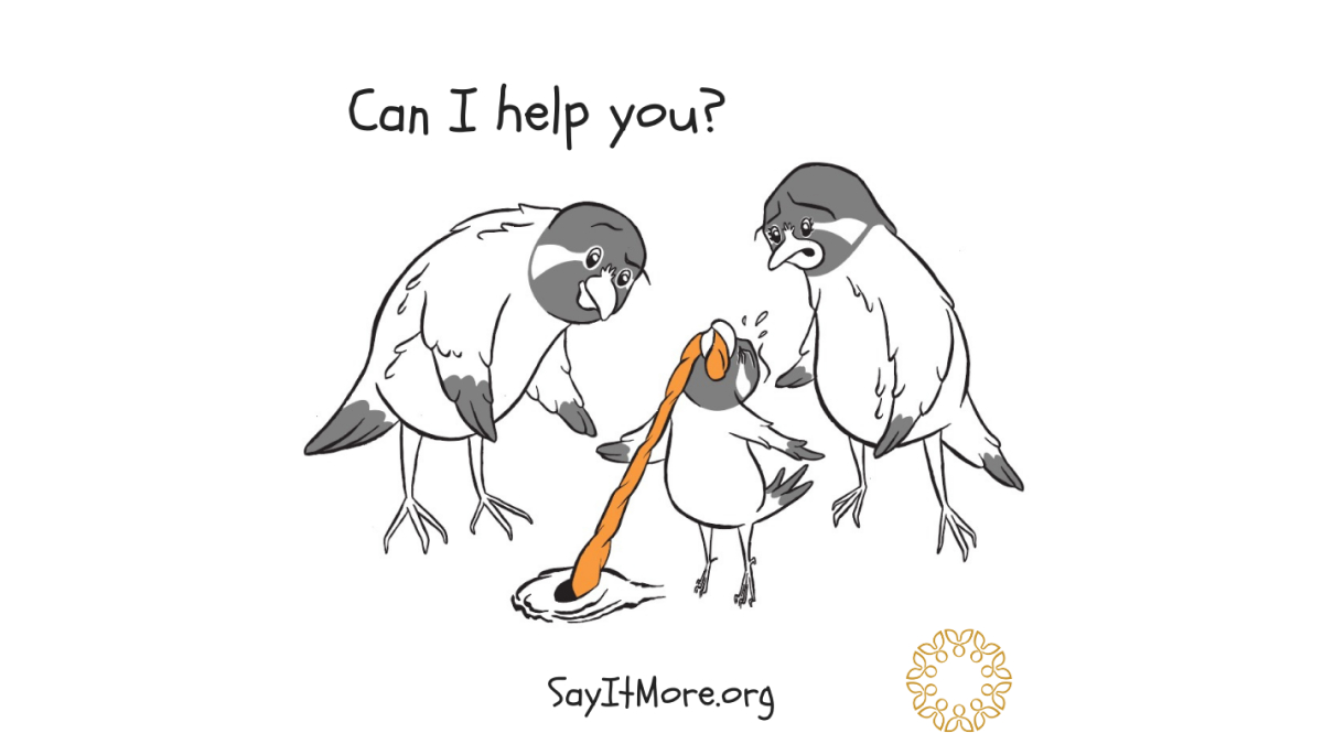 SIM-Chickadees-help-resized
